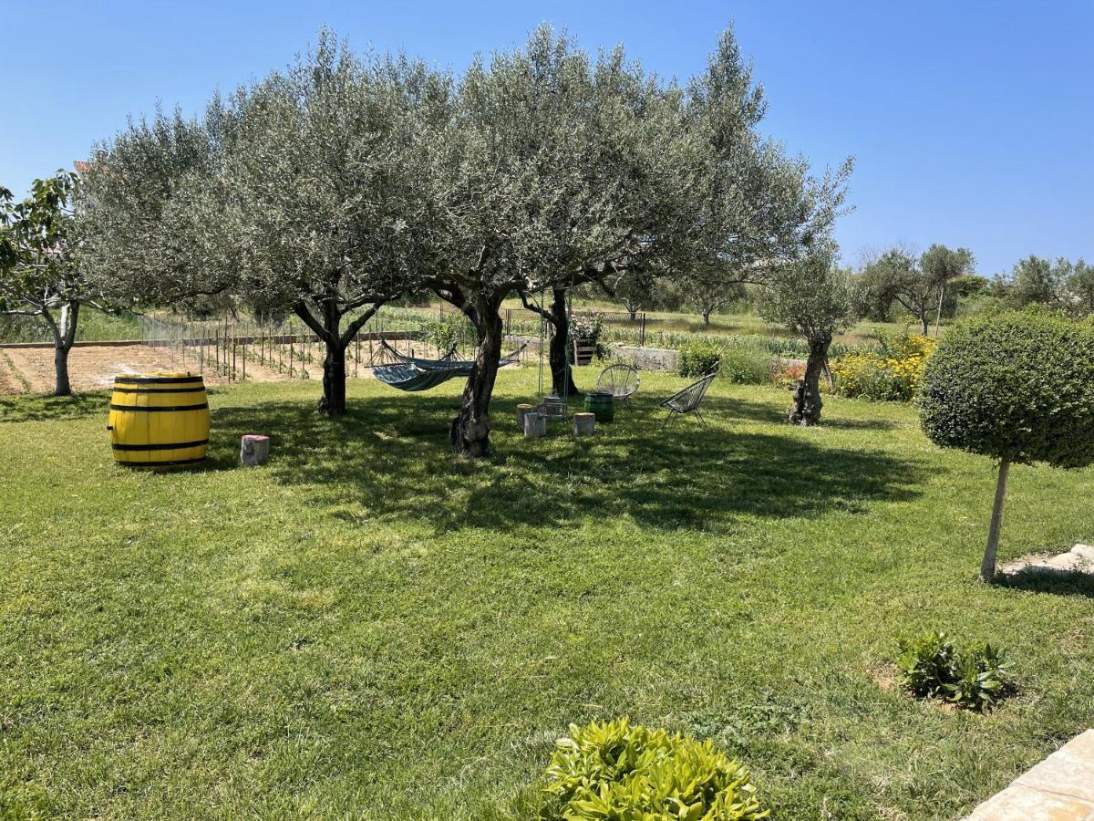 Bed&Breakfast Nada Privlaka  Exterior foto